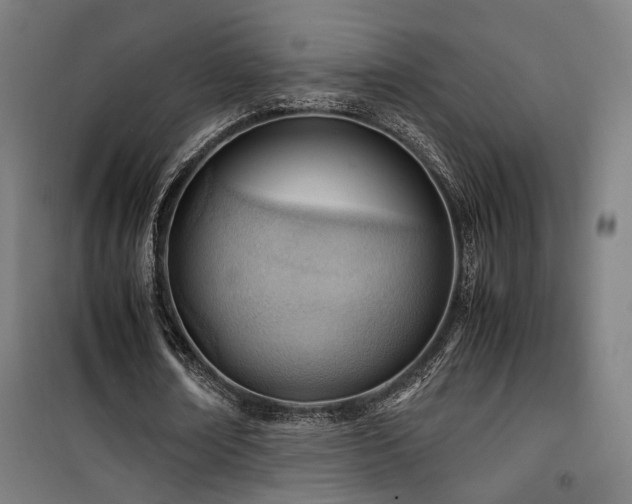 X0000101660674200807101254