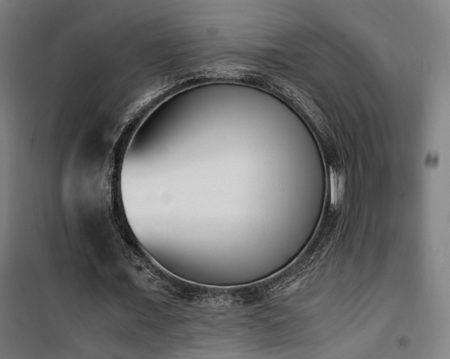 X0000101660675200807101254