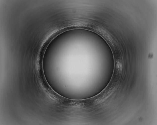 X0000101660676200807101254