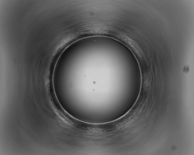 X0000101660677200807101254