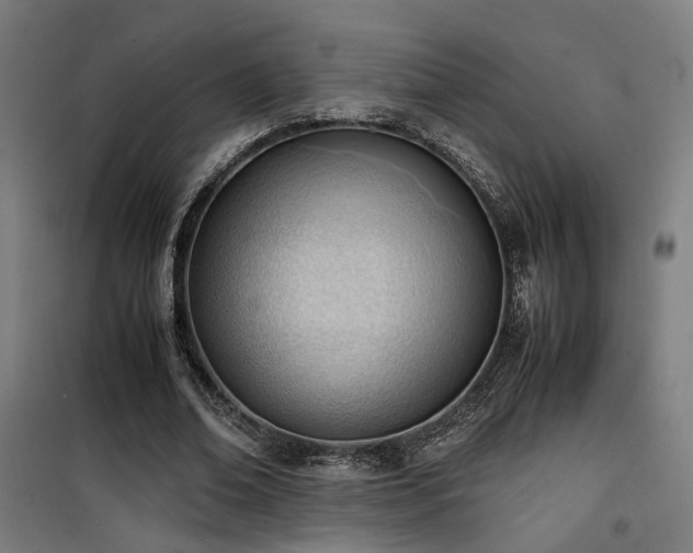 X0000101660678200807101254