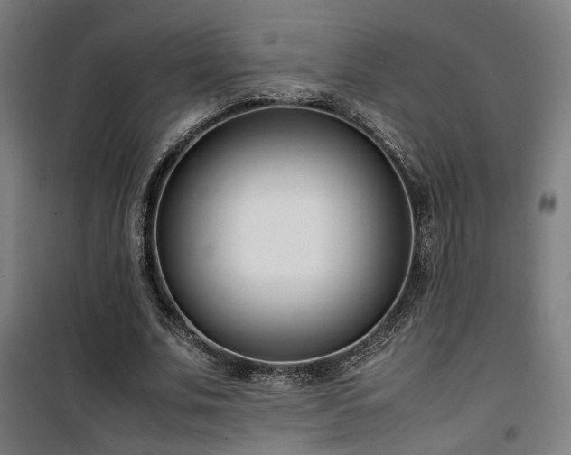 X0000101660679200807101254