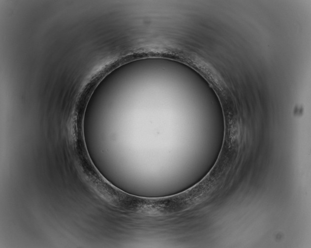 X0000101660680200807101254