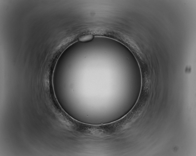 X0000101660681200807101254