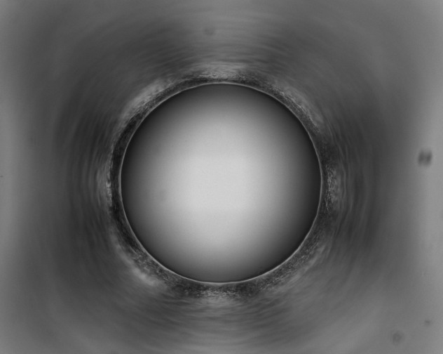 X0000101660682200807101254