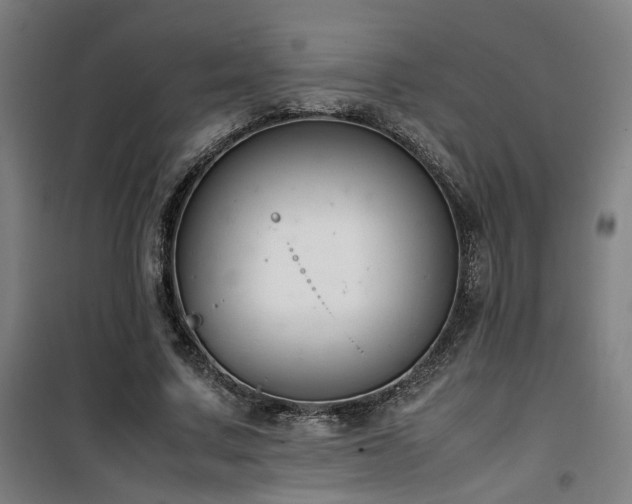 X0000101660683200807101254