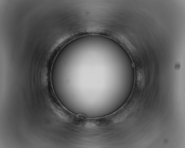 X0000101660684200807101254