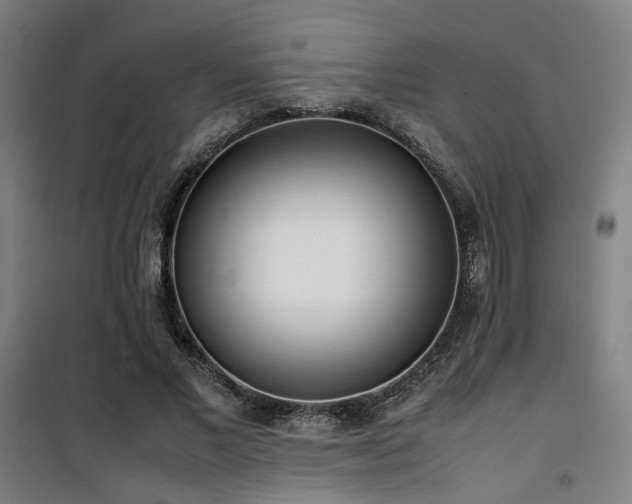 X0000101660685200807101254