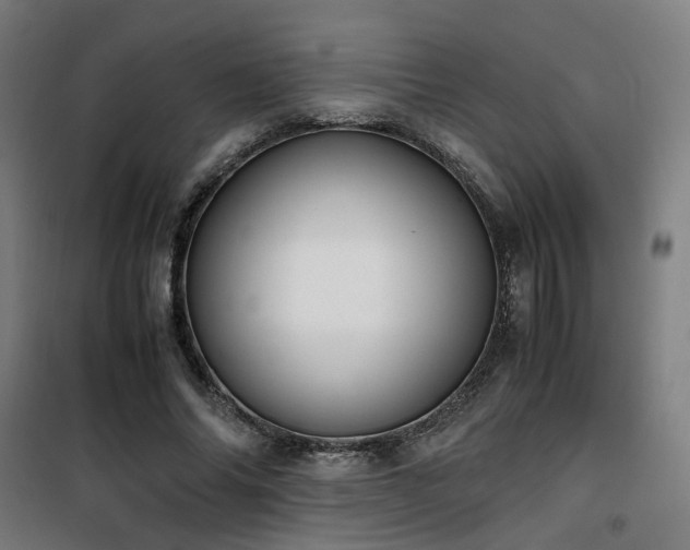 X0000101660686200807101254