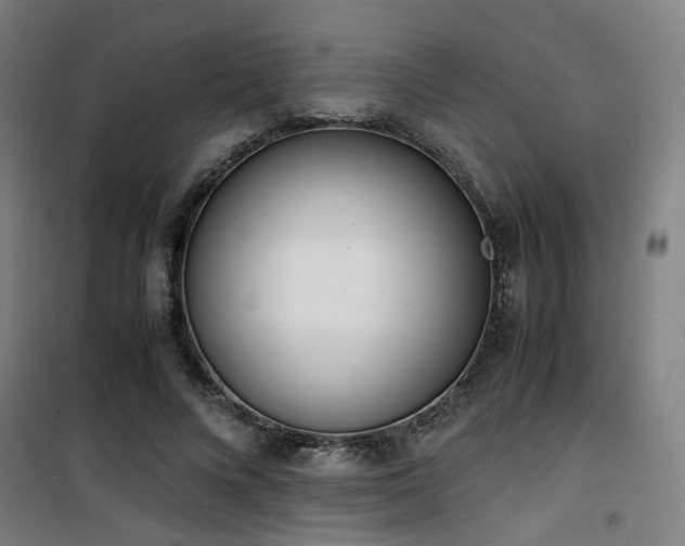 X0000101660688200807101254