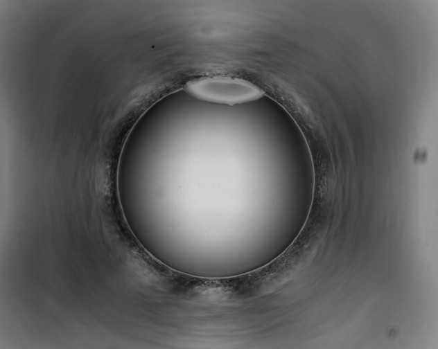 X0000101660689200807101254