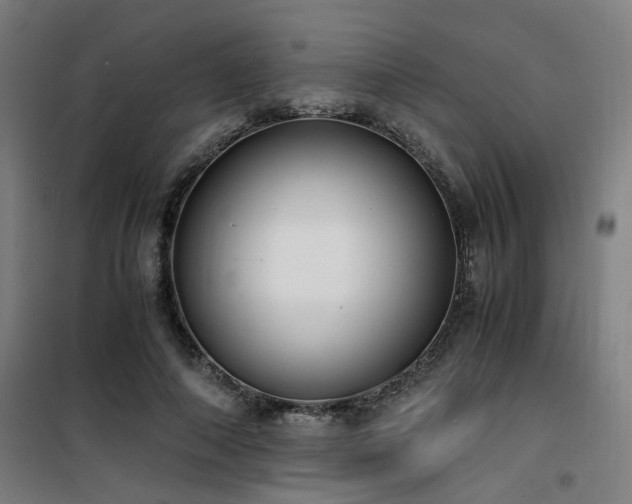 X0000101660690200807101254