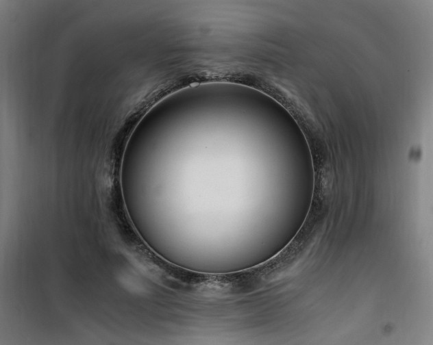 X0000101660691200807101254