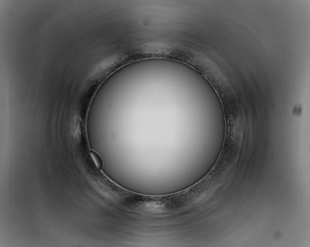 X0000101660692200807101254