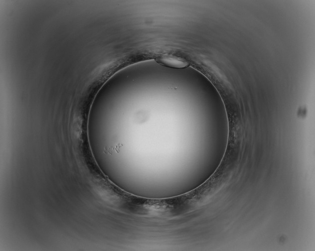 X0000101660693200807101254