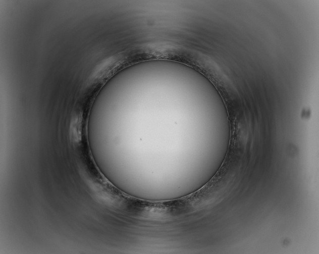 X0000101660694200807101254