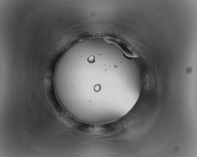 X0000101660695200807101254