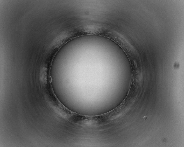 X0000101660696200807101254