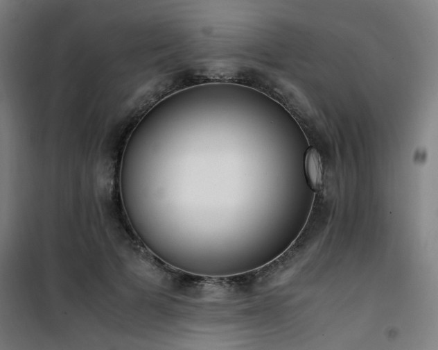 X0000101660697200807101254