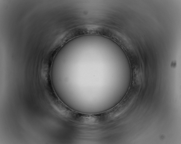 X0000101660698200807101254