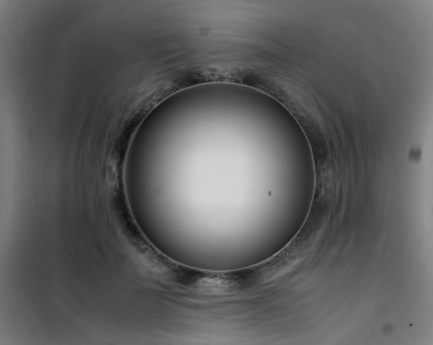 X0000101660699200807101254