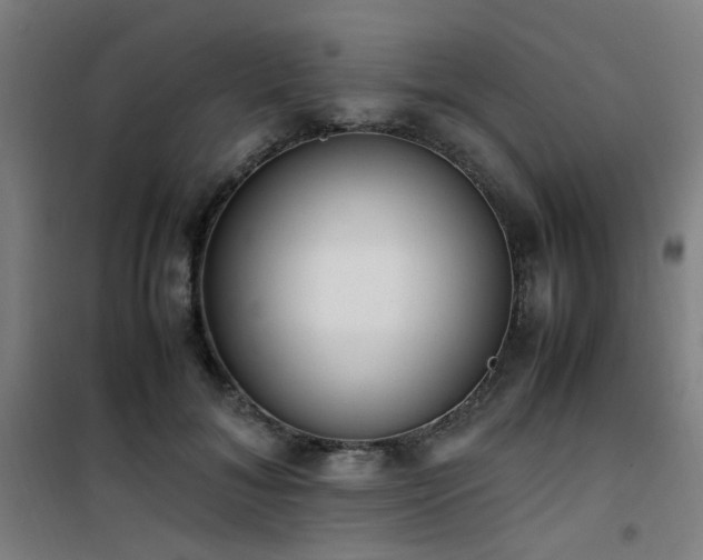 X0000101660700200807101254