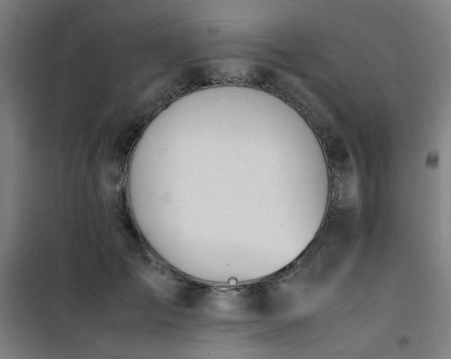 X0000101660701200807101254