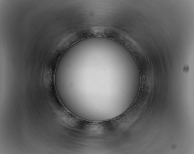 X0000101660702200807101254