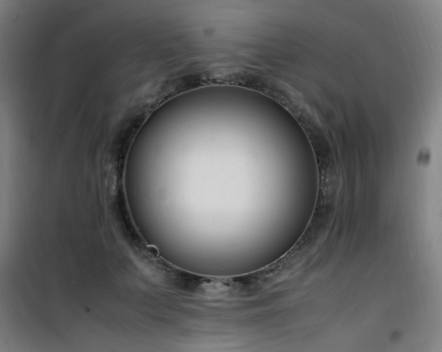 X0000101660703200807101254