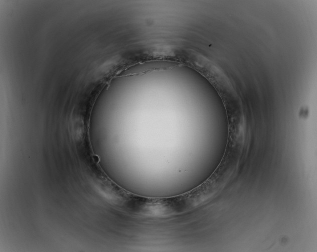 X0000101660704200807101254