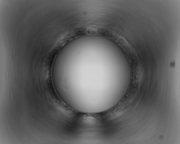 X0000101660706200807101254