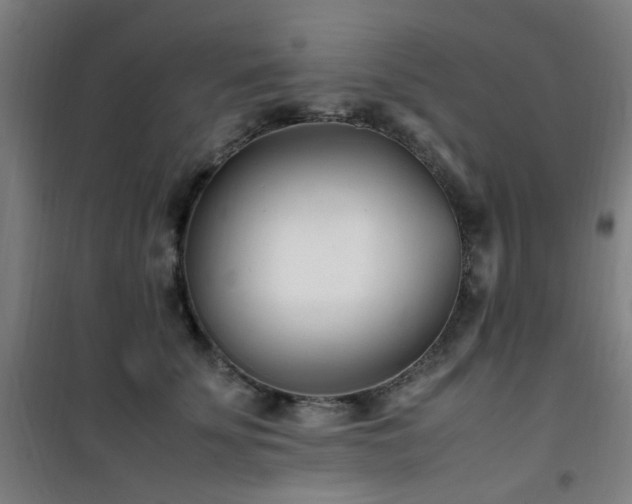 X0000101660707200807101254