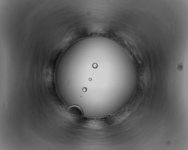 X0000101660708200807101254