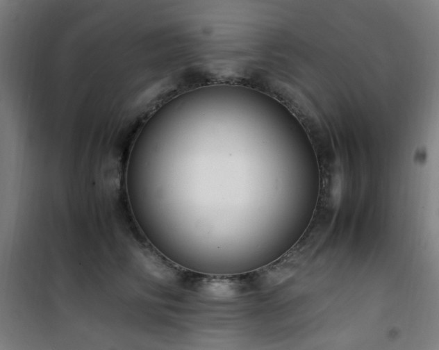 X0000101660710200807101254