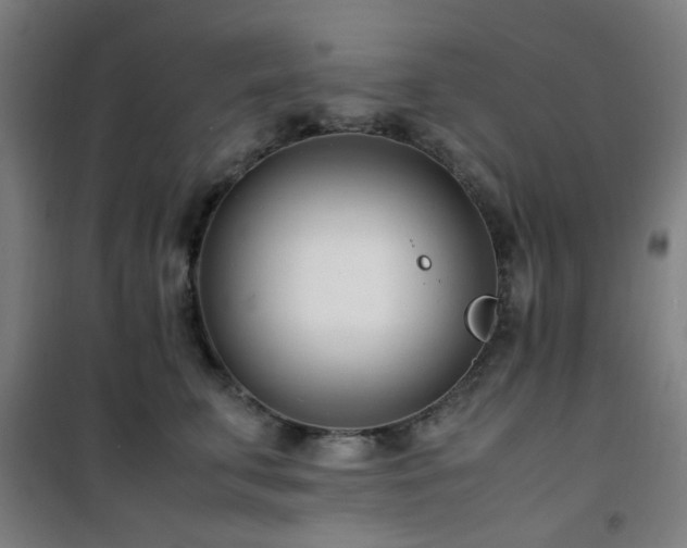 X0000101660711200807101254