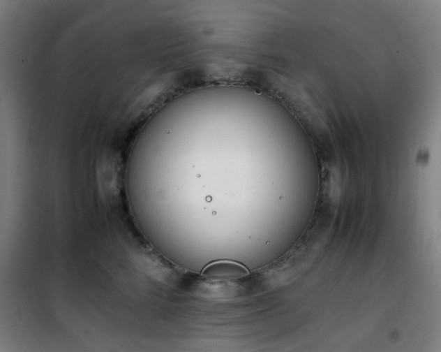 X0000101660712200807101254