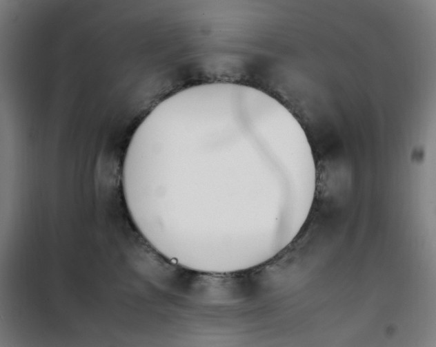 X0000101660713200807101254