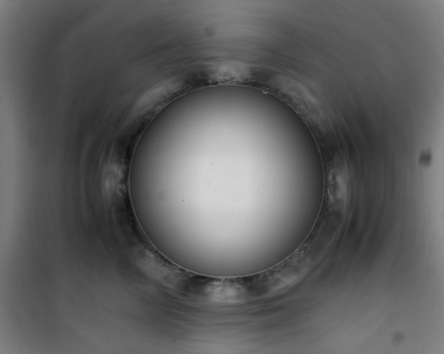 X0000101660714200807101254