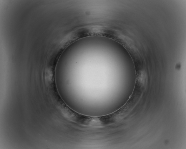 X0000101660715200807101254