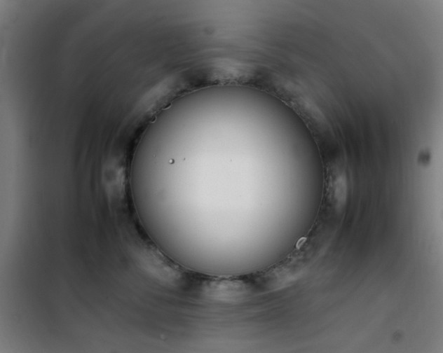 X0000101660716200807101254