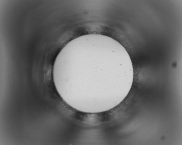 X0000101660717200807101254