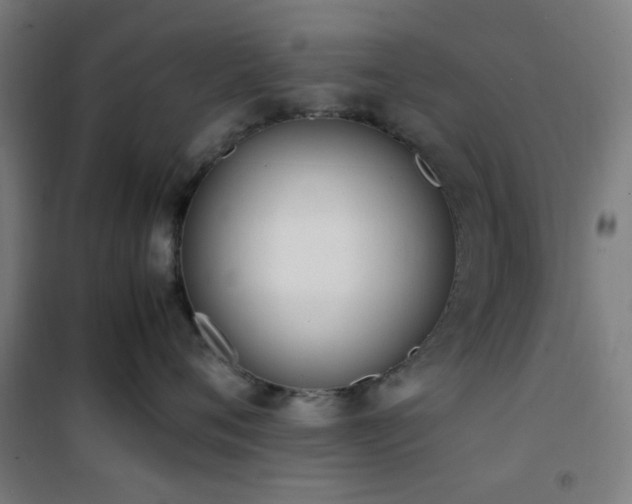 X0000101660720200807101254