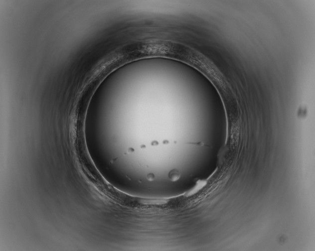 X0000101660722200807101253