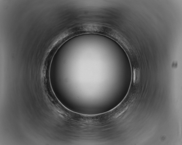 X0000101660723200807101253