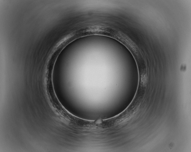 X0000101660724200807101253