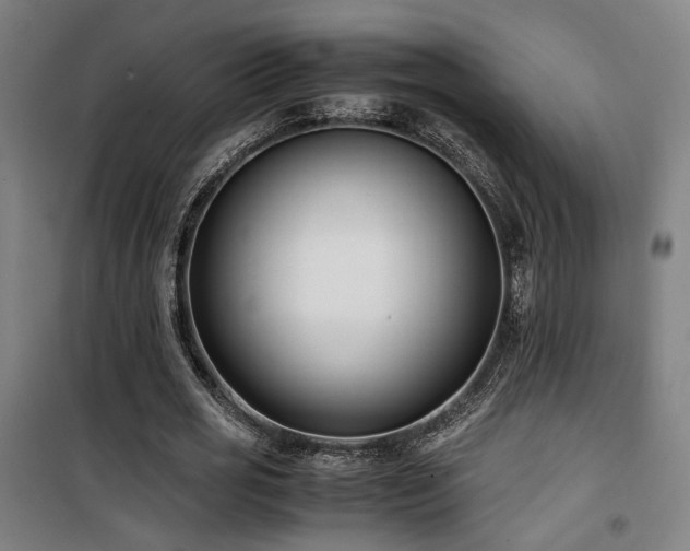 X0000101660725200807101253