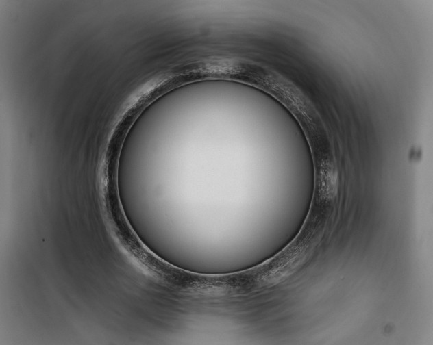 X0000101660726200807101253