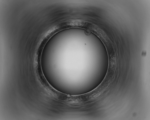 X0000101660727200807101253