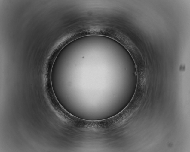 X0000101660728200807101253