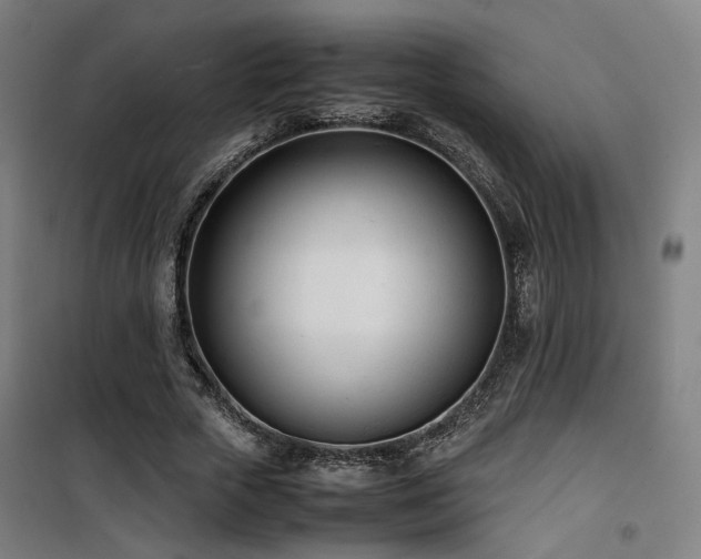 X0000101660729200807101253